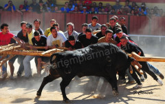 Capeia Arraiana , 6 de Julho na Palha Blanco