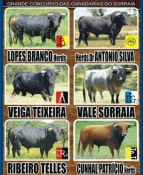 Coruche - Seis Imponentes Toiros a Concurso para Seis Jovens Figuras 