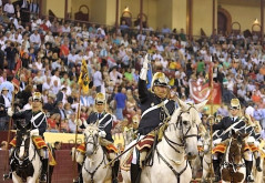 Campo Pequeno corrida Flash