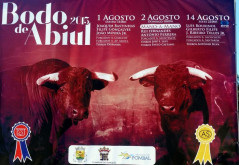 Feira Taurina de ABIUL 2015 – O TOIRO sério com idade peso e trapio, é em ABIUL!