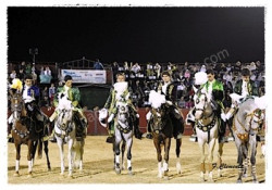 Corrida de Toiros  Ferrel  7-08-2015  22H00