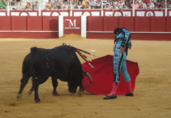 ALUNO DA ESCOLA DE TOUREIO JOSÉ FALCÃO, TRIUNFA EM MÁLAGA