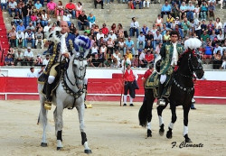 Caldas vibrou com uma grande corrida mista.