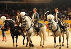 Corrida de Toiros Arruda - 16 de Agosto de 2015 às 22:30h