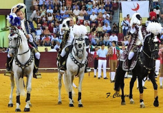Corrida de Toiros Campo Pequeno 20 de Agosto de 2015 às 22:00h