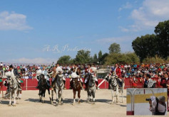 O MONDEGO GOSTA DE TOIROS