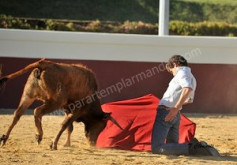 GINES MARÍN ALTERNATIVA EM 2016