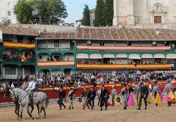 Onze orelhas e dois rabos no Festival de Chinchón