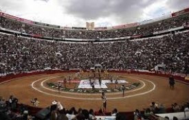 DOMINGO, 8ª DA TEMPORADA MEXICANA