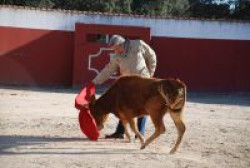 EN LA A.I.T. LA TAUROMAQUIA SE DEFIENDE… Y SE PRACTICA