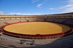 APRESENTADA A MINUTOS A TEMPORADA 2016 NA REAL MAESTRANZA DE SEVILHA