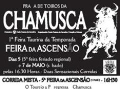 Feira Taurina na Chamusca, Ascensão 2016, duas imponentes corridas de toiros 