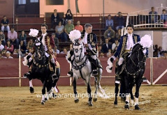 A corrida do Pinhal Novo muito interessante