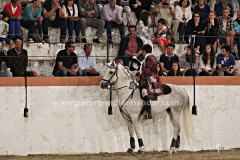 Arronches Festas de S. João