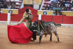 PEDRITO DE PORTUGAL REAPARECE