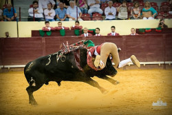 Campo Pequeno: Concurso de Pegas na Corrida do Emigrante