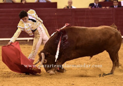 Oito importantes compromissos para Juan del Álamo