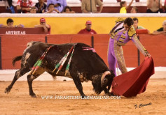 Sérgio Nunes, amanhã de “luces” no Campo Pequeno