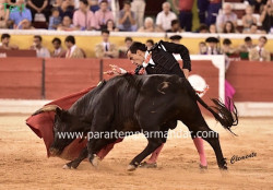 João Martins: “Triunfar no Campo Pequeno vai abrir-me portas noutras praças”