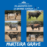 O imponente curro de Murteira Grave apresentado pelo próprio Ganadero 