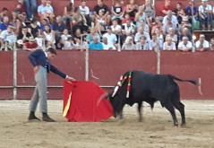 João D ´Alva Finalista do VI Certame de Escolas Taurinas da Comunidade de Madrid.