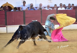 João D`Alva Aluno da Escola José Falcão na final em San Agustin de Guadalix (Madrid)