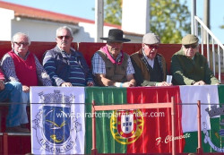 Vila Boim 14 de Outobro   -     O sol ia alto… e as ilusões também