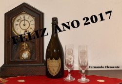 FELIZ ANO 2017 !!