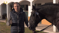 Destaque Campo Pequeno TV : ENSINO DO CAVALO DE TOUREIO