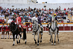 Galeria da corrida em Alter do Chão  25-04-2017