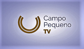    CAMPO PEQUENO TV - MAIO