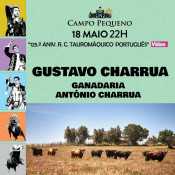 Declarações Gustava Charrua - Corrida 18 de Maio