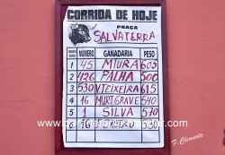Ganadaria Murteira Grave vence Prémios de Bravura e Apresentação