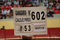 A CORRIDA CONCURSO DE ÉVORA PELA OBJECTIVA DE MARIA MIL HOMENS