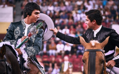 Corrida de triunfadores quinta-feira, no Campo Pequeno