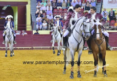 Que Alternativa mais emocionante ontem no Campo Pequeno  