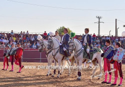Interessante Corrida em Alcáçovas
