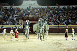 Corrida Real em Salvaterra