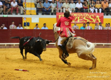 Galeria da Corrida do Redondo pela objectiva de Maria Mil Homens