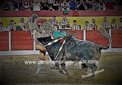 A Arte e Valentia do Forcado Amador na LIII Corrida TV na Figueira da Foz