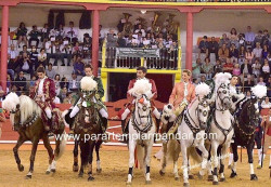 Agradável Corrida na Nazaré na 2ª da Temporada 2017