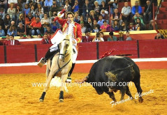 Aparatosa colhida de M. Bastinhas na Figueira da foz
