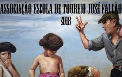 Aulas de Toureio