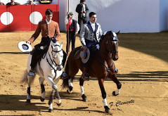 Mourão 1 de Fevereiro, Festival Taurino