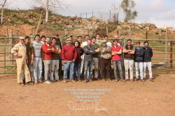 GALERIA DA FERRA NA HERDADE DOS ALBARDEIROS DA FAMÍLIA CARTAXO EM REGUENGOS DE MONSARAZ