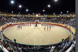 APRESENTA TEMPORADA DA PALHA BLANCO - “O TOIRO E A ARTE”