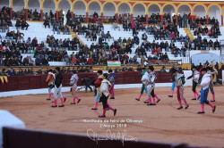 Novilhda 1ª da Feira de Olivenza 2018