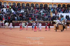 Galeria da Ultima Corrida da Feira de Olivenza 2018