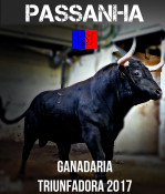 DESTAQUE CAMPO PEQUENO TV  -   Ganadaria Passanha