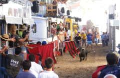 14 de Agosto: DIA DAS TERTÚLIAS MÓVEIS DE ARRUDA DOS VINHOS